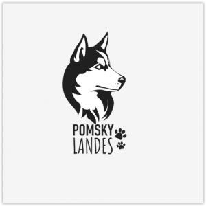 Pomsky Landes