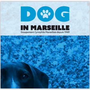 Dog in Marseille (Groupement Cynophile Marseillais)